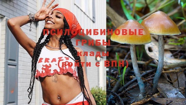 наркотики Магас